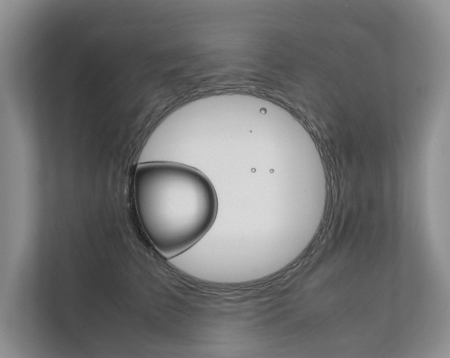 X0000111880709200907231427