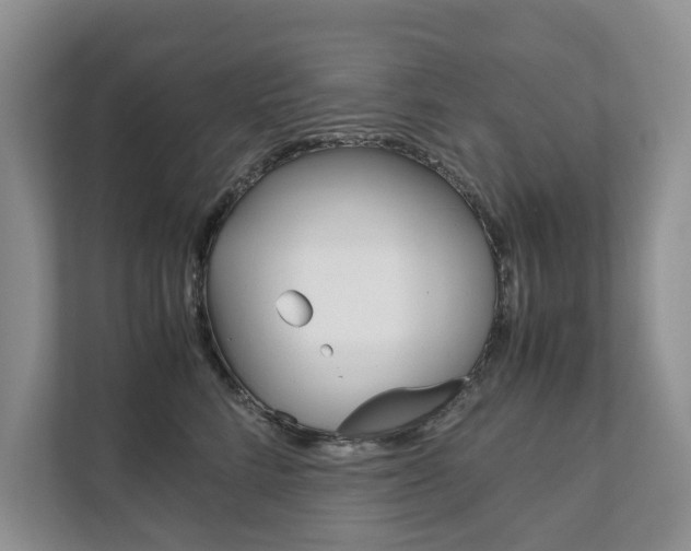 X0000111880712200907231427