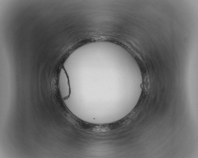 X0000111880714200907231427