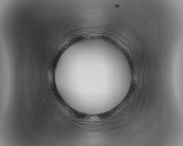 X0000111880715200907231427