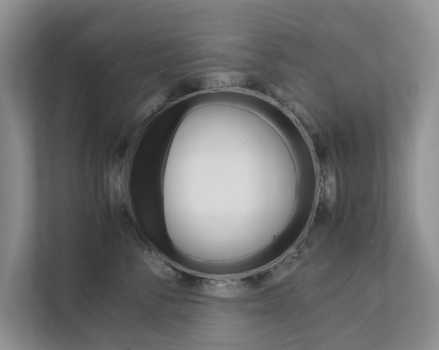 X0000111880716200907231427