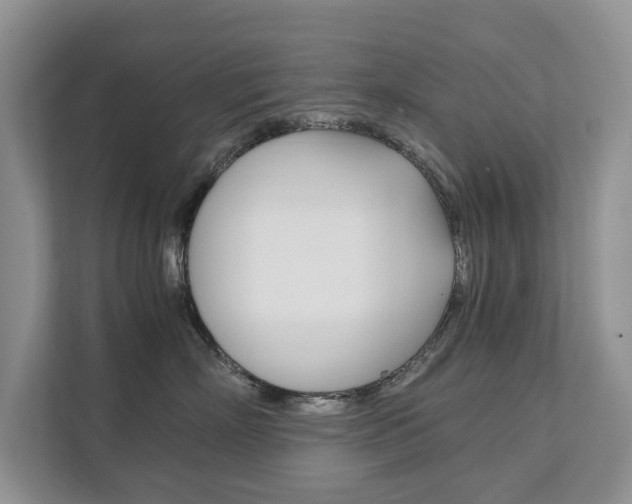 X0000111880718200907231427