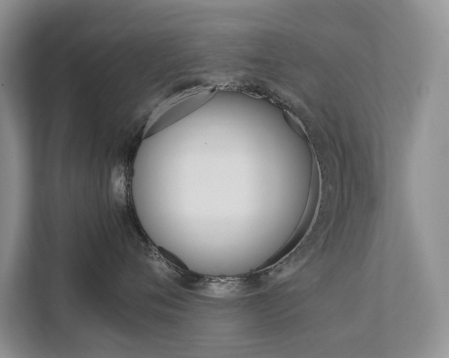 X0000111880720200907231427
