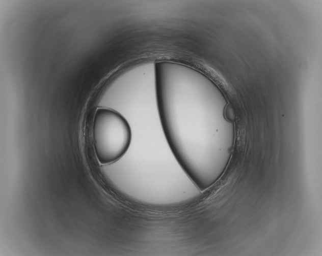 X0000111880722200907231426
