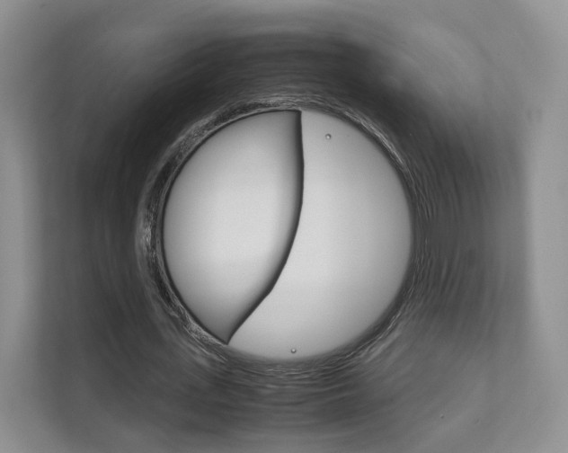 X0000111880723200907231426