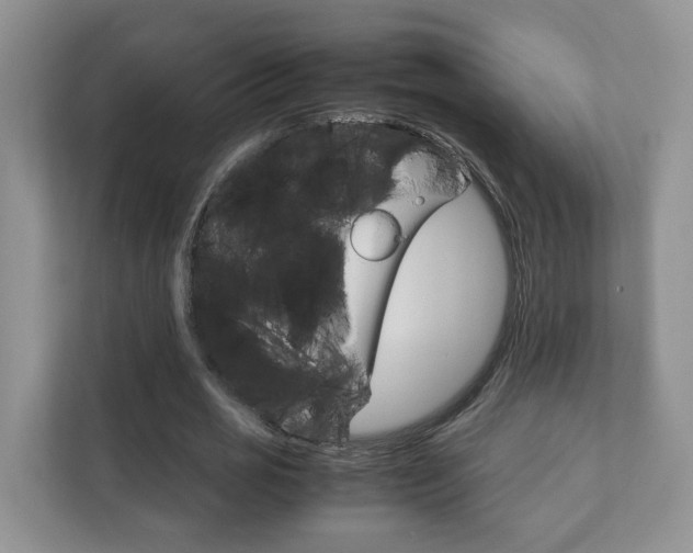 X0000111880725200907231426