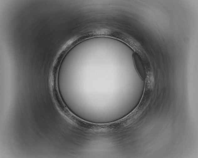 X0000111880726200907231426