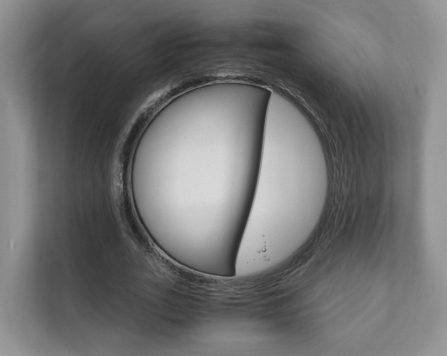 X0000111880727200907231426