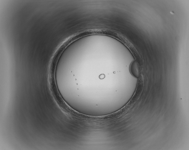 X0000111880728200907231426