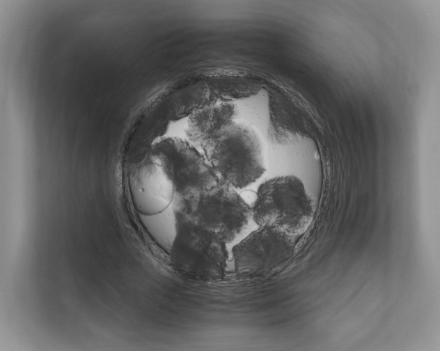X0000111880729200907231426