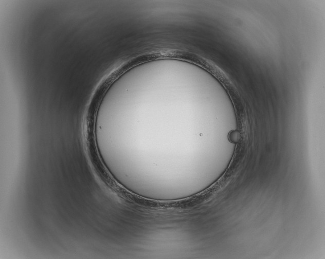 X0000111880730200907231426