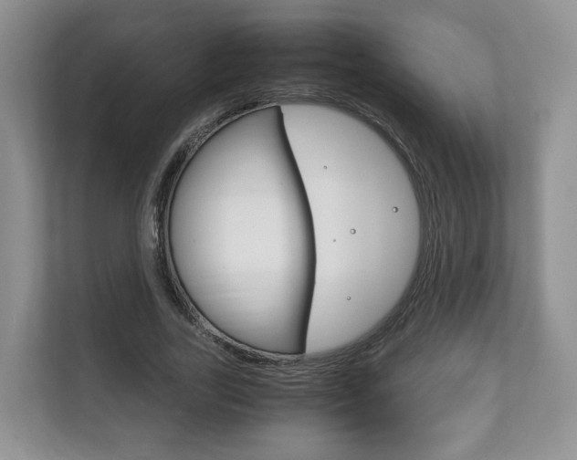 X0000111880731200907231426