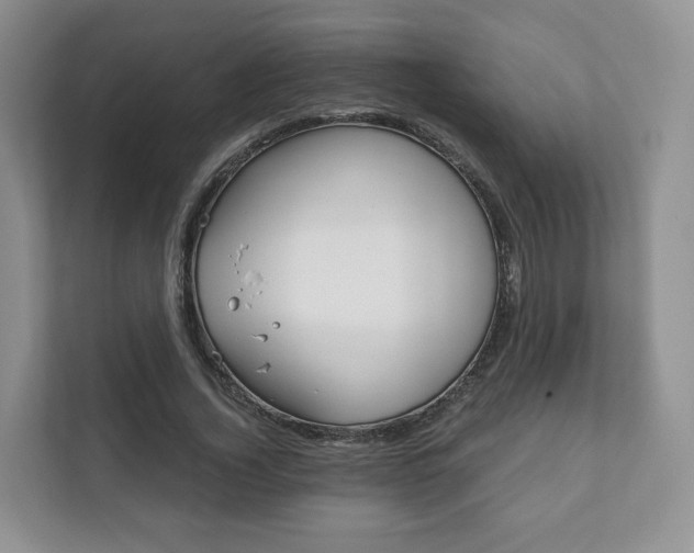 X0000111880732200907231426