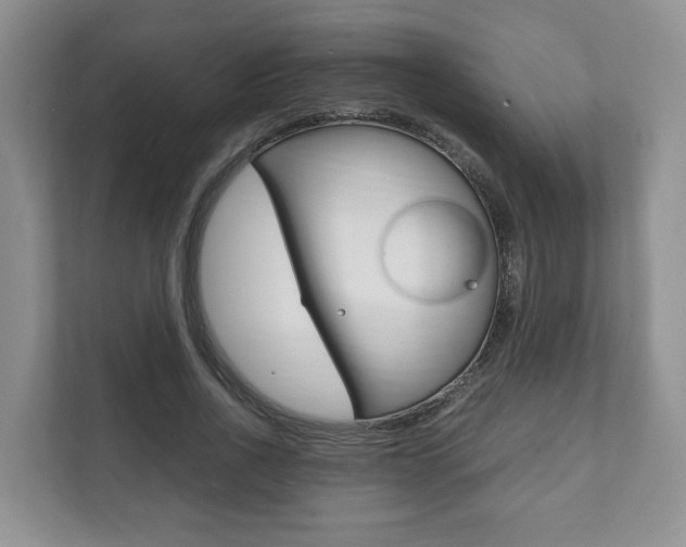 X0000111880734200907231426