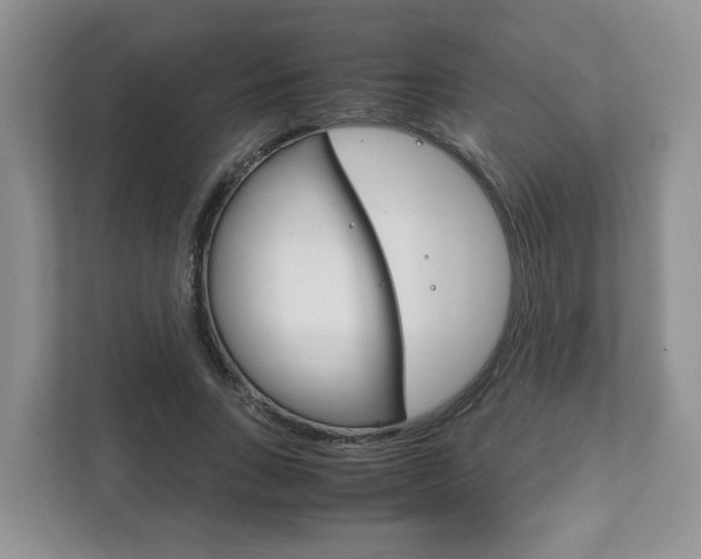 X0000111880735200907231426