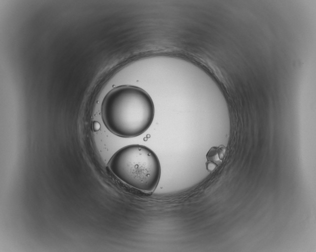 X0000111880736200907231426
