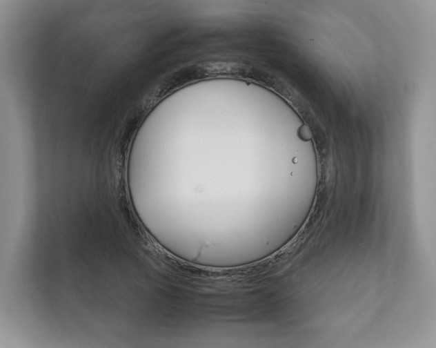 X0000111880737200907231426