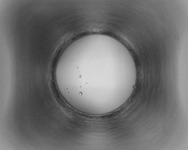 X0000111880738200907231426