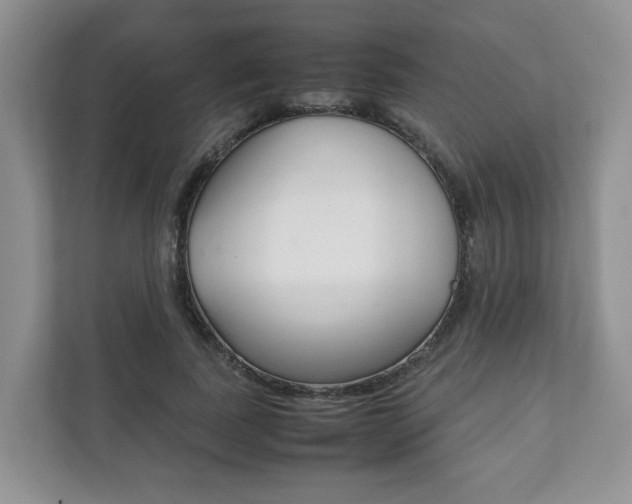 X0000111880739200907231426