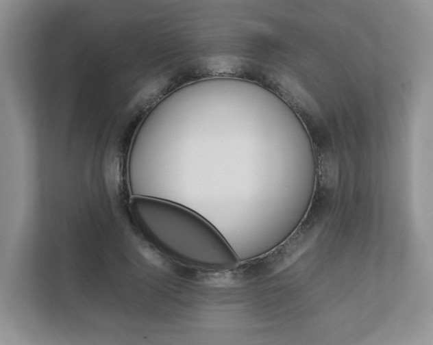 X0000111880740200907231426