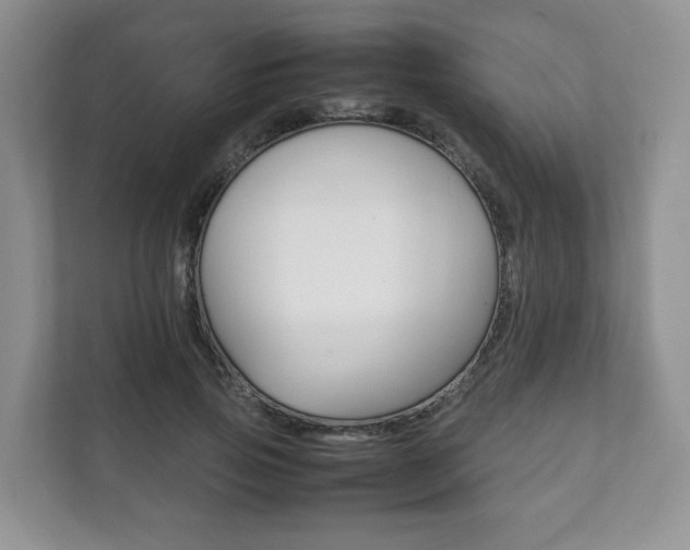 X0000111880741200907231426