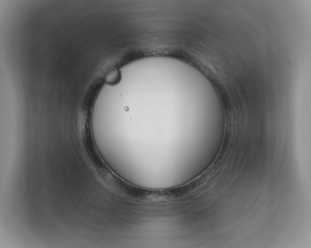 X0000111880742200907231426