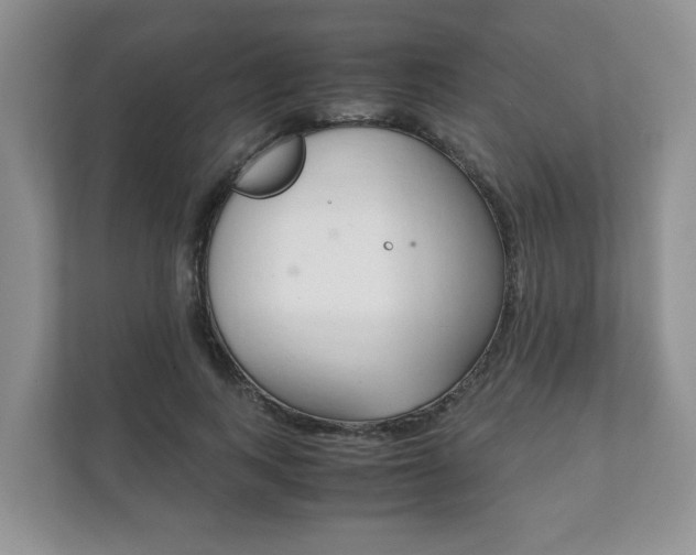 X0000111880743200907231426