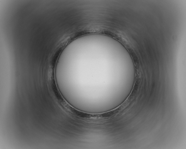X0000111880744200907231426