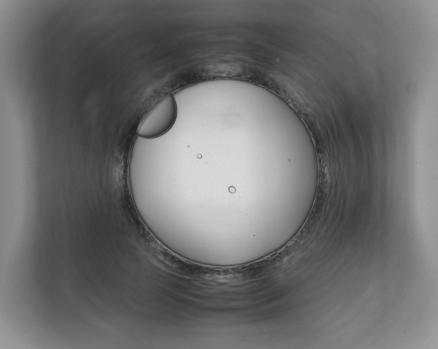 X0000111880745200907231426