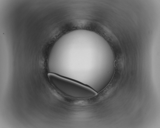 X0000111880750200907231426