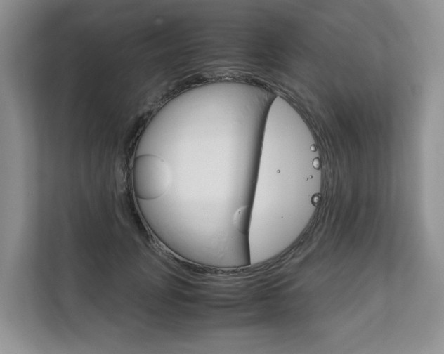 X0000111880751200907231426