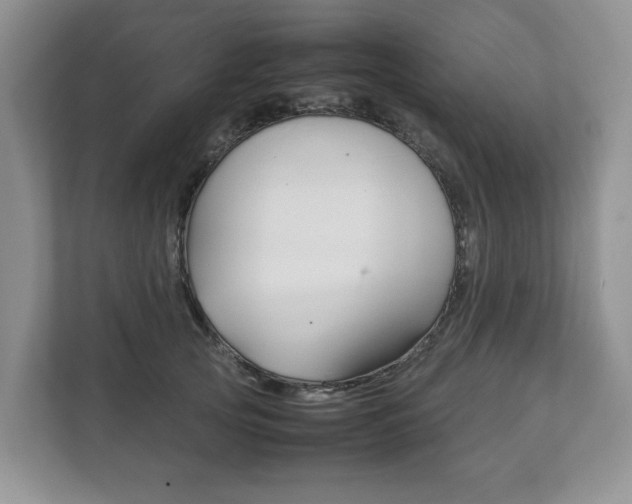 X0000111880753200907231427