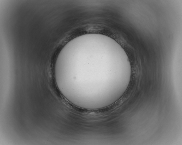 X0000111880755200907231427