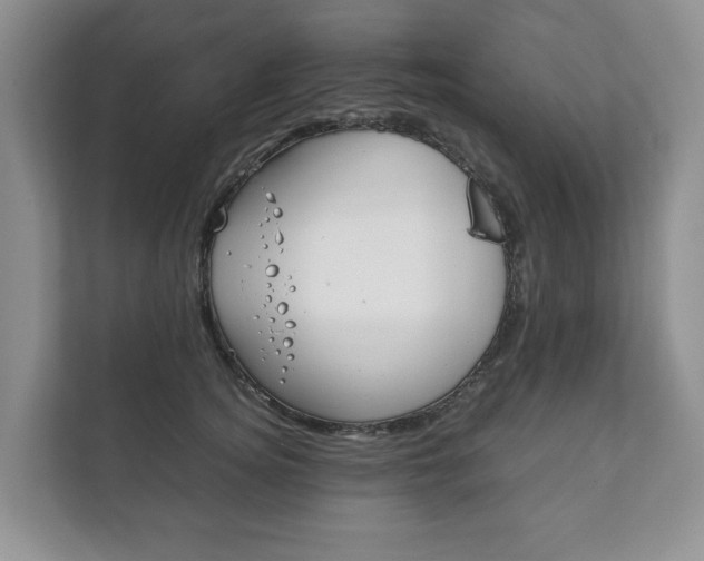 X0000111880756200907231427
