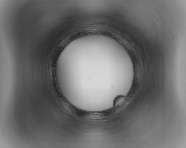X0000111880758200907231427
