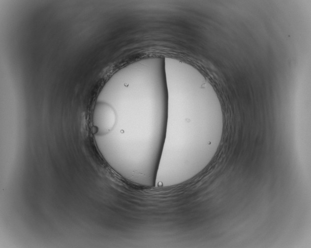 X0000111880759200907231427