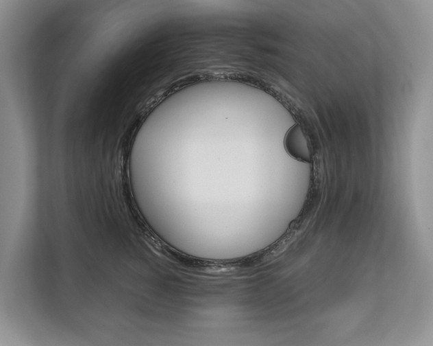 X0000111880760200907231427