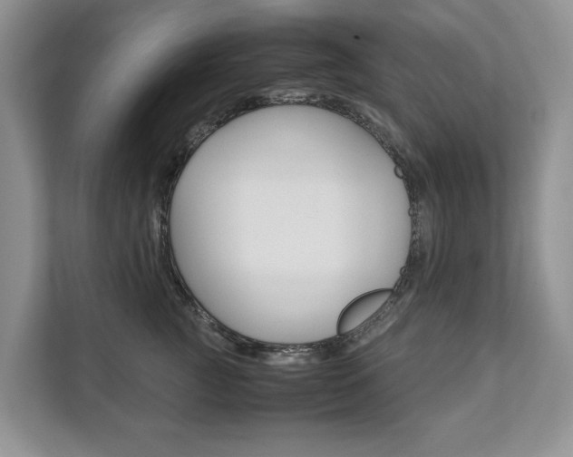 X0000111880761200907231427