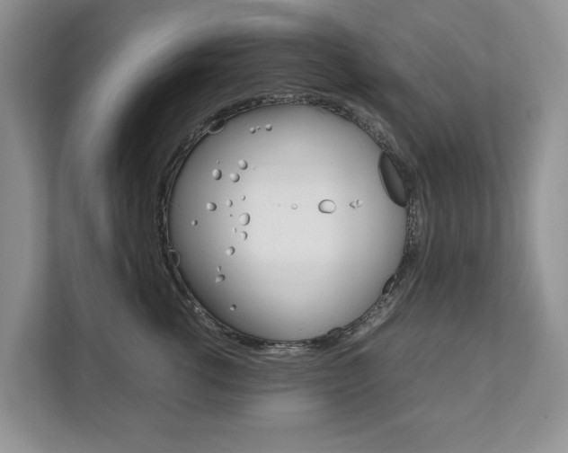 X0000111880762200907231427