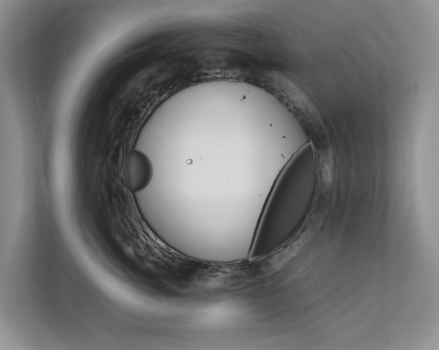 X0000111880764200907231427