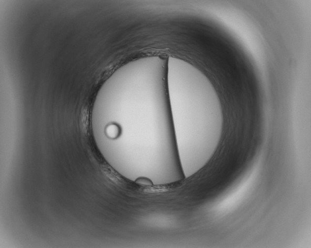 X0000111880767200907231427