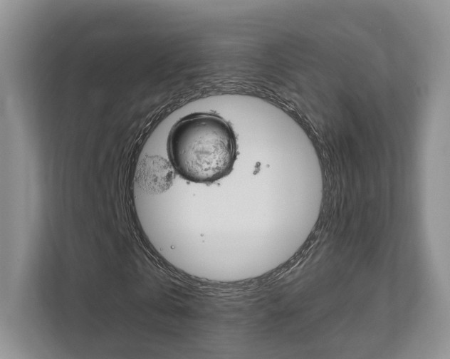 X0000111880769200907231426