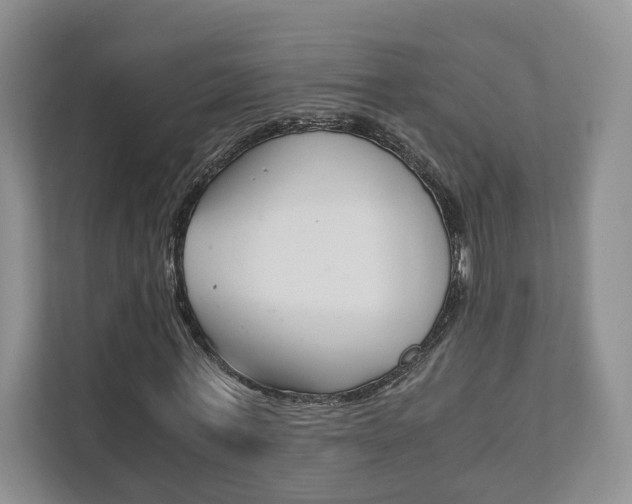 X0000111880771200907231426