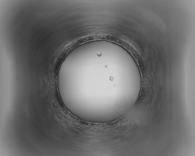 X0000111880773200907231426