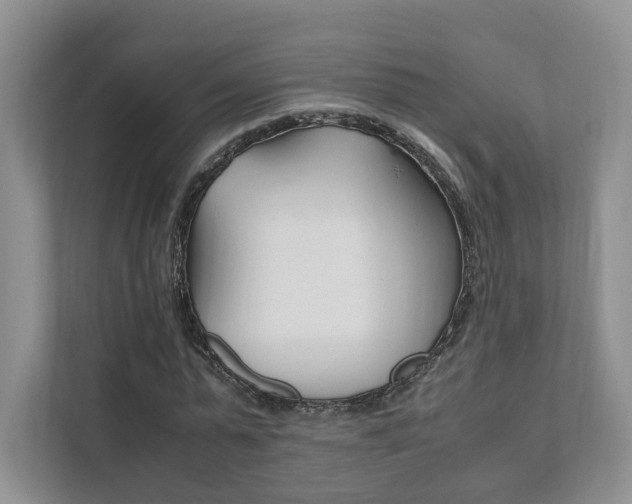 X0000111880775200907231426
