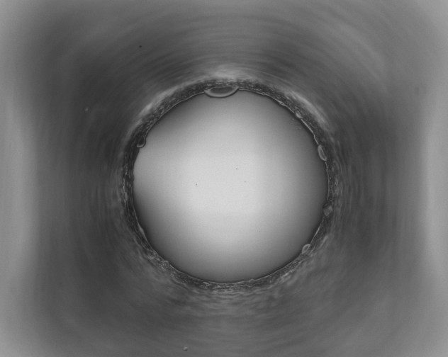 X0000111880776200907231426