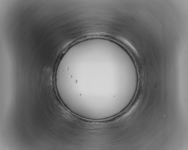X0000111880777200907231426