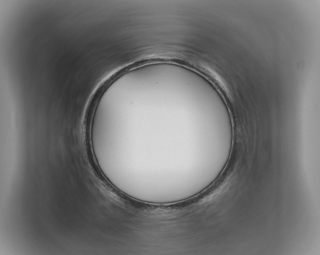 X0000111880779200907231426