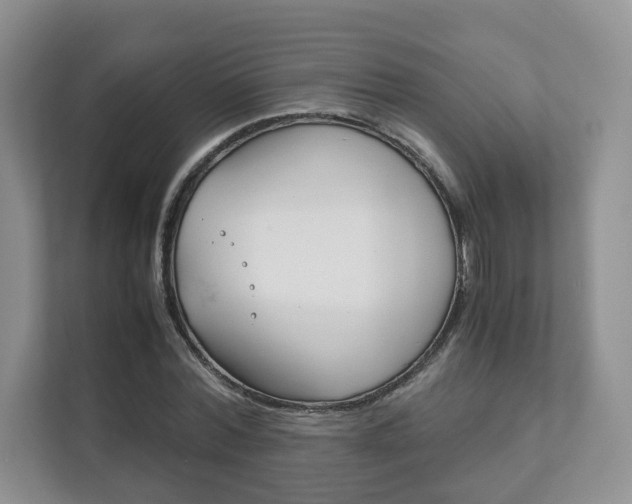 X0000111880780200907231426