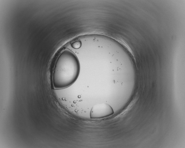 X0000111880781200907231426